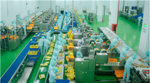 CHUYẾN THAM QUAN DOANH NGHIỆP TẠI CÔNG TY TNHH WANT WANT VIỆT NAM: SINH VIÊN NGÀNH NGÔN NGỮ TRUNG QUỐC CHUẨN BỊ HÀNH TRANG CHO KỲ THỰC TẬP